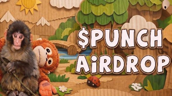 PUNCH: Der Token, der Leidenschaft und Kryptowährungen in Argentinien vereint