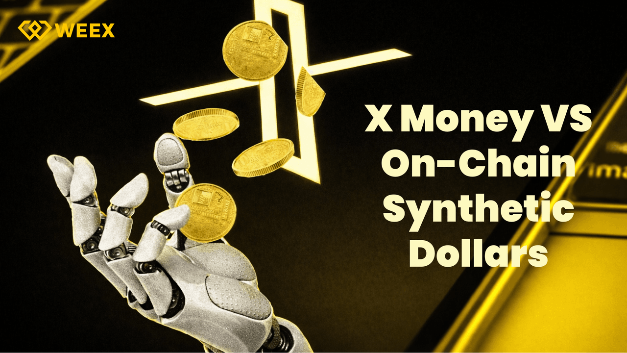 埃隆·馬斯克的 X Money 對比加密貨幣的合成美元：誰將贏得貨幣的未來？