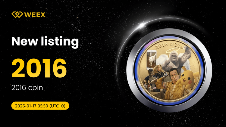 2016 Coin (2016) 在WEEX上币：立即交易2016 USDT