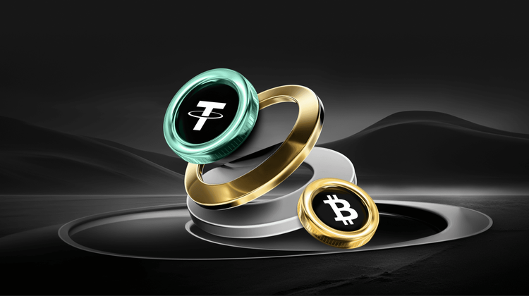 Dialog mit dem Gründer von Pantera: Bitcoin hat die Fluchtgeschwindigkeit erreicht, traditionelle Vermögenswerte bleiben auf der Strecke.