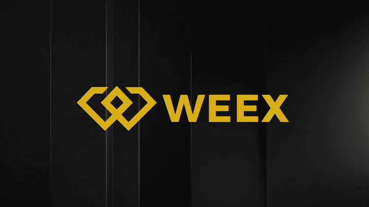 What is Planet Labs Tokenized Stock (Ondo)(PLON) Coin: everything you need to know