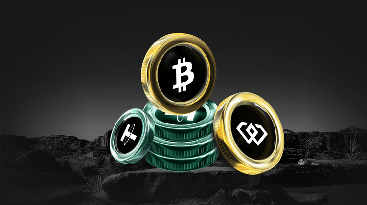 什麼是 Ember (EMBER) 幣？