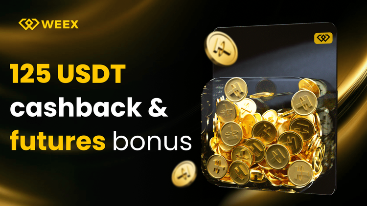 Kaufen Sie USDT mit USD/EUR auf WEEX für Zero Fees &amp; Cashback