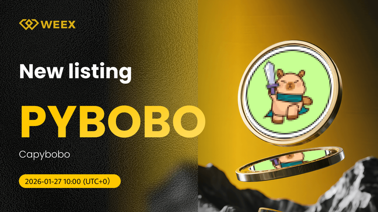 PYBOBO USDT Jetzt Live: Capybobo (PYBOBO) Coin auf WEEX gelistet