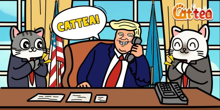 Cattea Tages-Kombi 20.-24. Januar 2025: Was ist Cattea Airdrop?