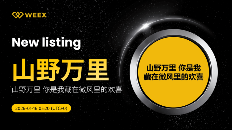 山野万里 USDT wird an der WEEX-Spotbörse gelistet