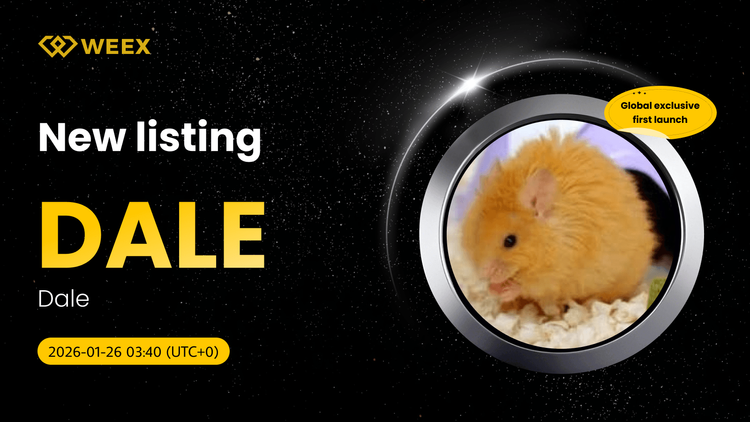 DALE USDT Exklusiv: Dale (DALE)-Coin an der WEEX gelistet