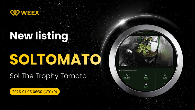 SOLTOMATO USDT 列出： 在WEEX上交易Sol The Trophy Tomato
