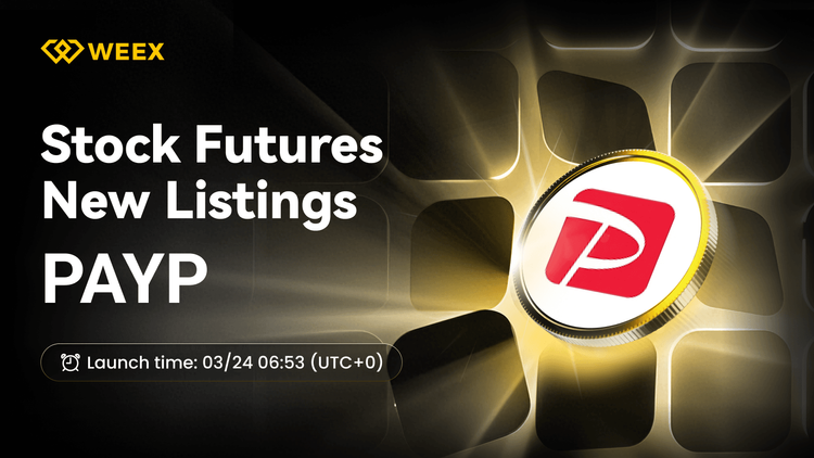 PAYP USDT-Perpetual-Kontrakt an der WEEX Futures notiert