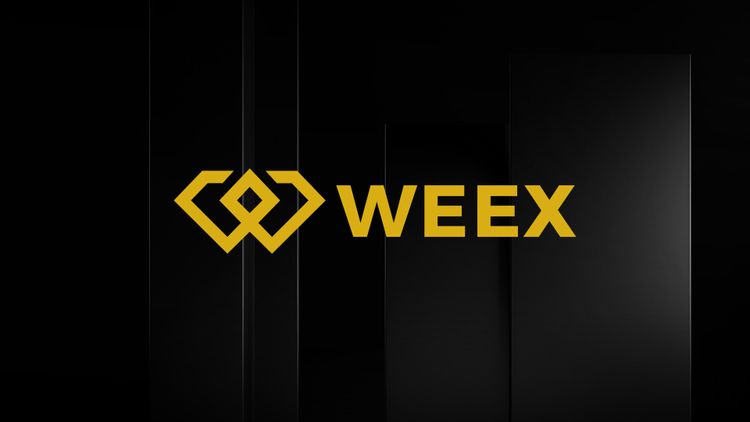 WEEX Wochen-Highlights: Markttrends und Event-Rückblick (20. Dez. - 27. Dez. 2024)