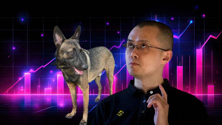 西蘭花代幣會是下一個 100 倍記念幣嗎？ CZ Dog Meme Coin 解讀