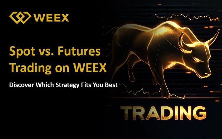 WEEX 現貨與合約交易的區別:哪種適合您?